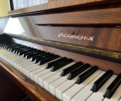 Пиано “Фантазия” - 3