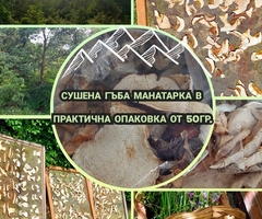 Сушена гъба Манатарка в плик от 50 гр.