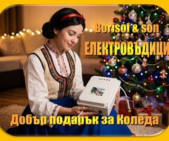 Електровъдица за подборен риболов в частни водоеми