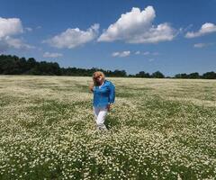 Продавам семена и разсад бял равнец сорт Проа , лайка, маточина