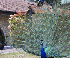 Тридневна екскурзия в  Северна Македония - Охрид и  Албания - 4