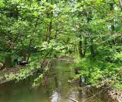 Релакс сред природата на хижа Божурица - 2