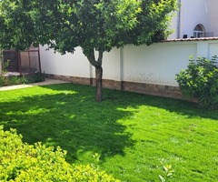 Поддържане на двор и градина в София - цена - 2