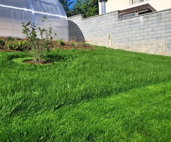 Поддържане на двор и градина в София - цена - 3